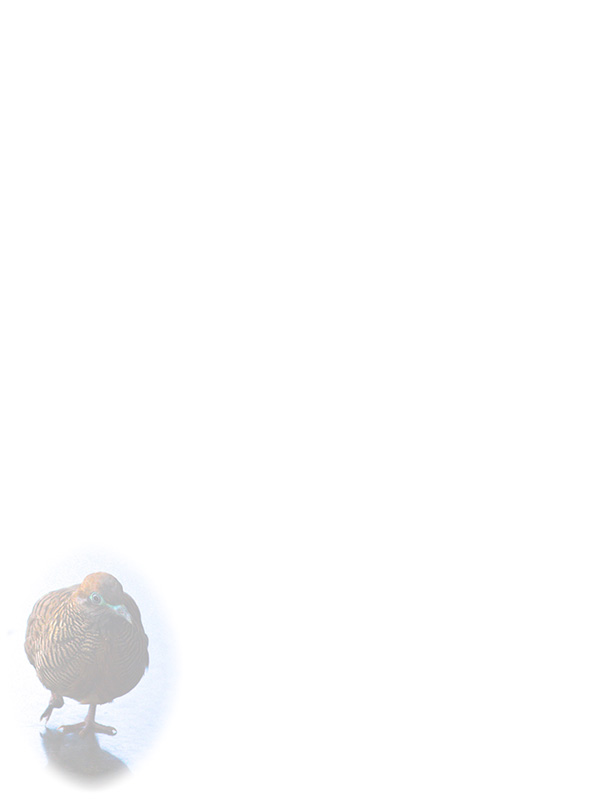 Law of Attraction Card - Image 3