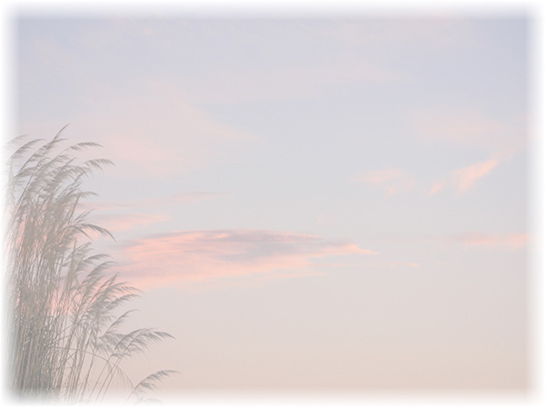 Law of Attraction Card - Image 3