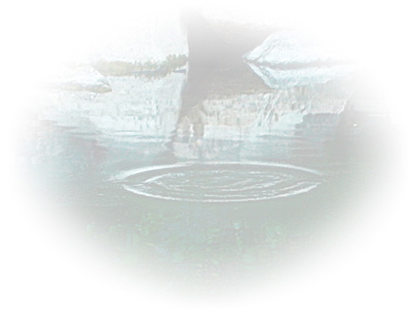 Law of Attraction Card - Image 3