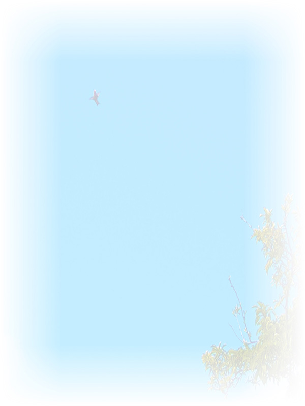Law of Attraction Card - Image 3