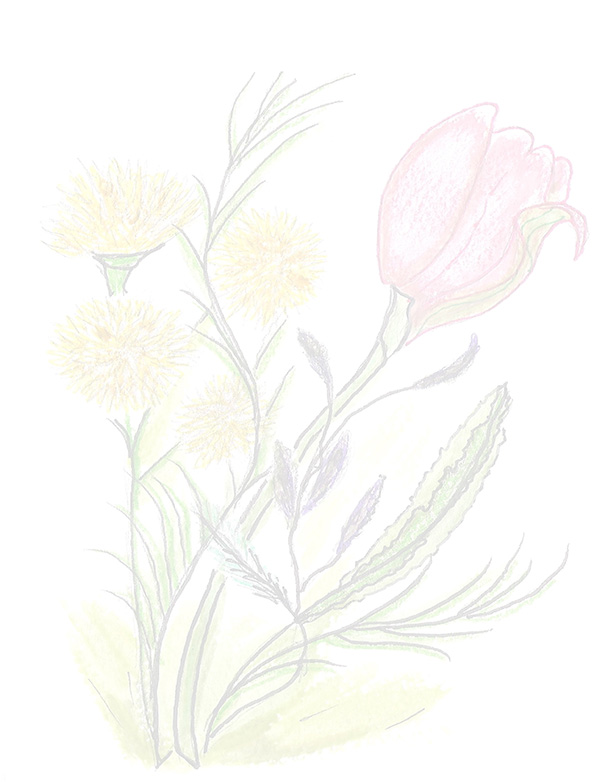 Law of Attraction Card - Image 3