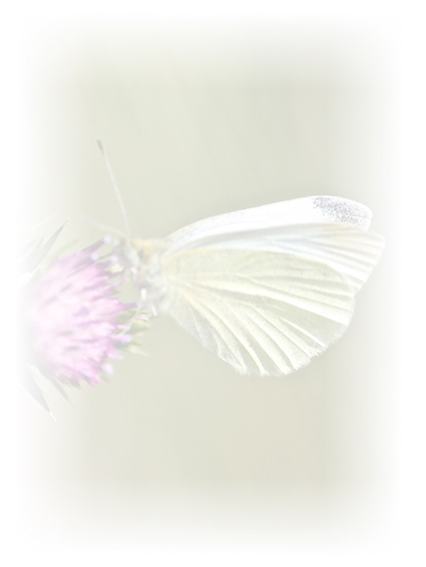 Law of Attraction Card - Image 3
