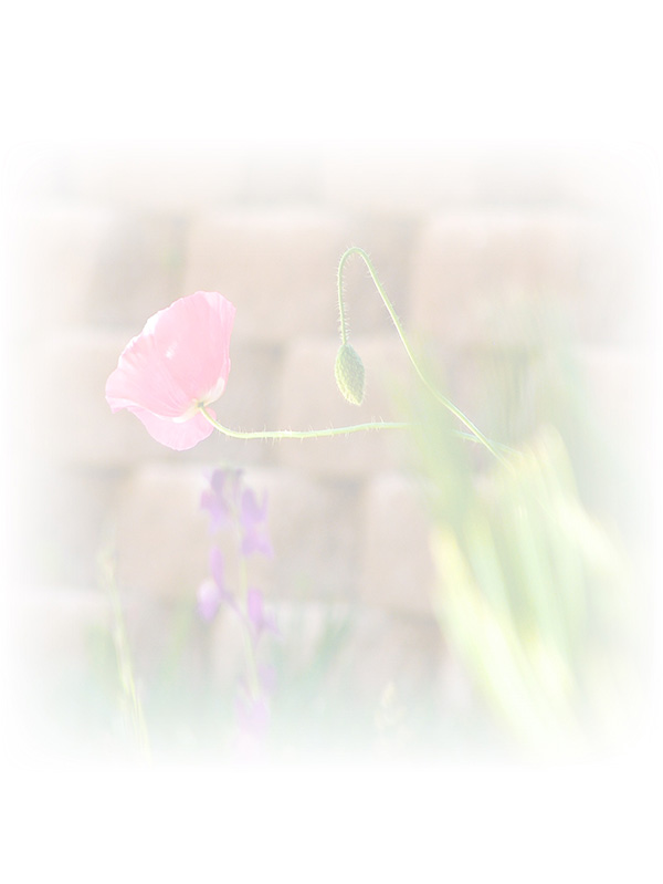 Law of Attraction Card - Image 3