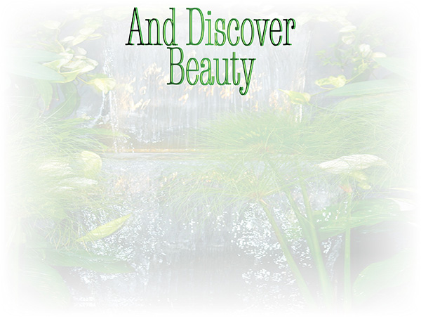 Law of Attraction Card - Image 3