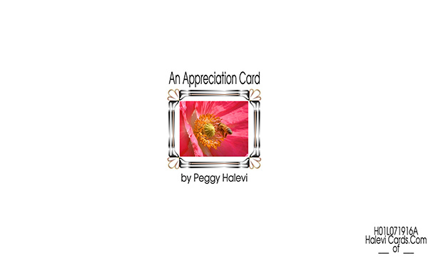 Law of Attraction Card - Image 2