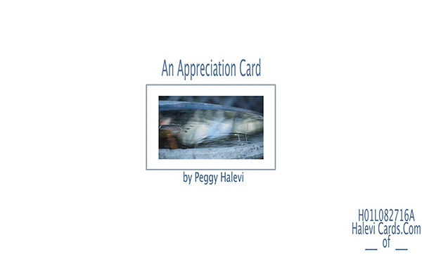 Law of Attraction Card - Image 2