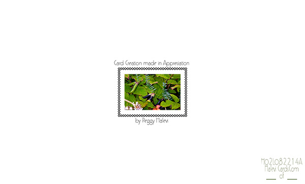 Law of Attraction Card - Image 2