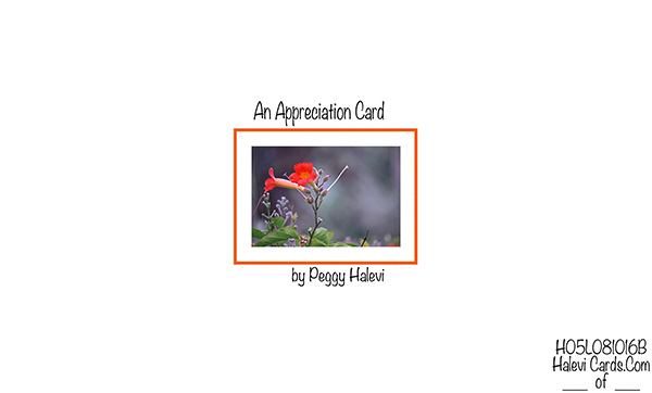 Law of Attraction Card - Image 2