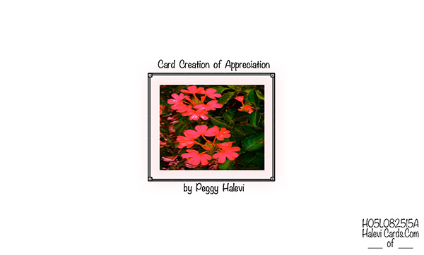 Law of Attraction Card - Image 2