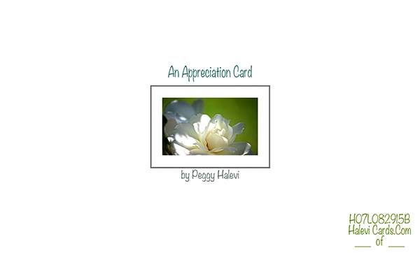 Law of Attraction Card - Image 2