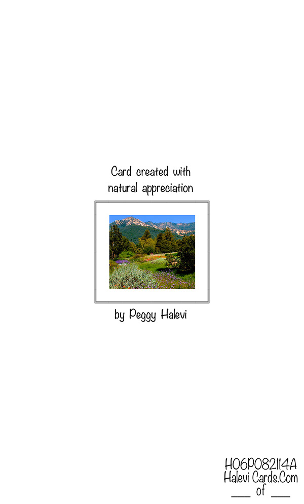 Law of Attraction Card - Image 2