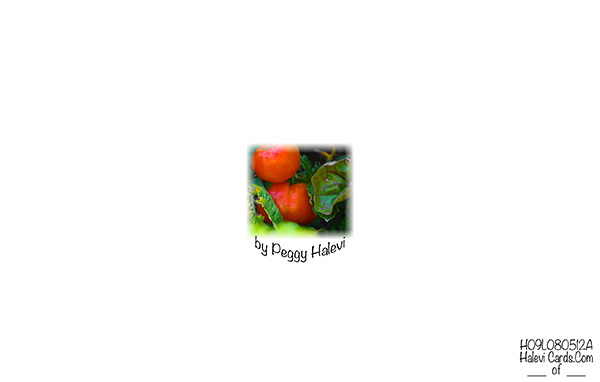 Law of Attraction Card - Image 2