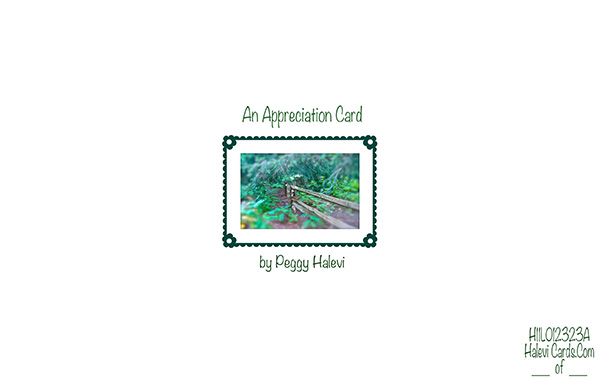 Law of Attraction Card - Image 2
