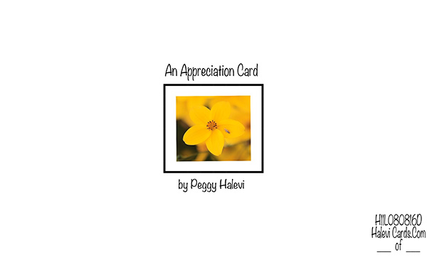 Law of Attraction Card - Image 2