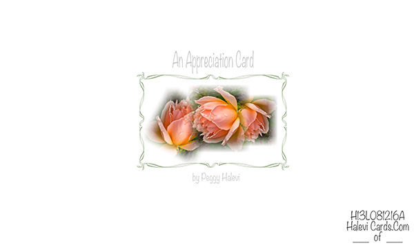 Law of Attraction Card - Image 2