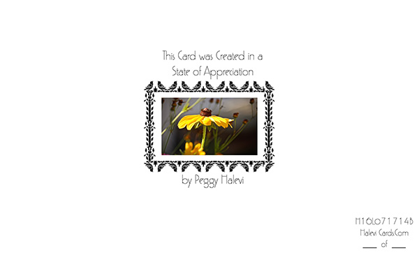 Law of Attraction Card - Image 2