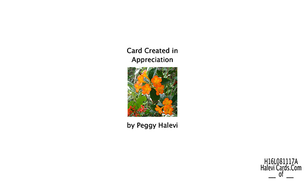 Law of Attraction Card - Image 2