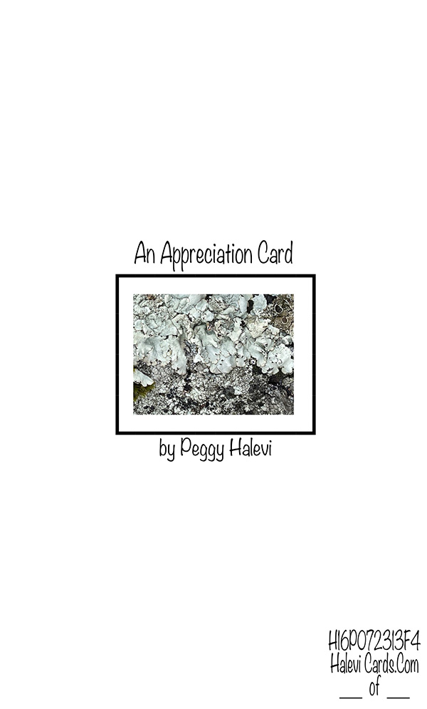 Law of Attraction Card - Image 2
