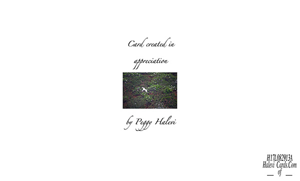 Law of Attraction Card - Image 2