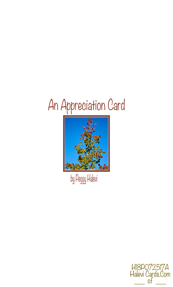 Law of Attraction Card - Image 2