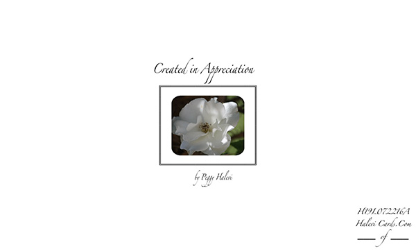 Law of Attraction Card - Image 2