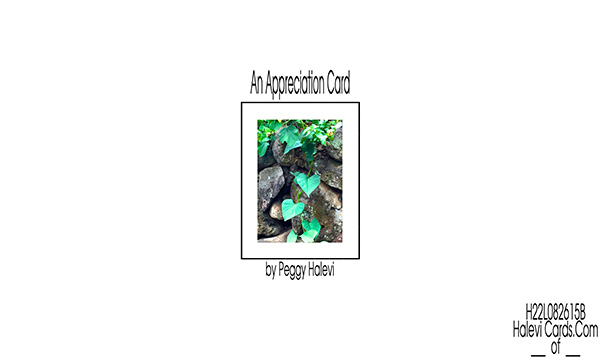 Law of Attraction Card - Image 2