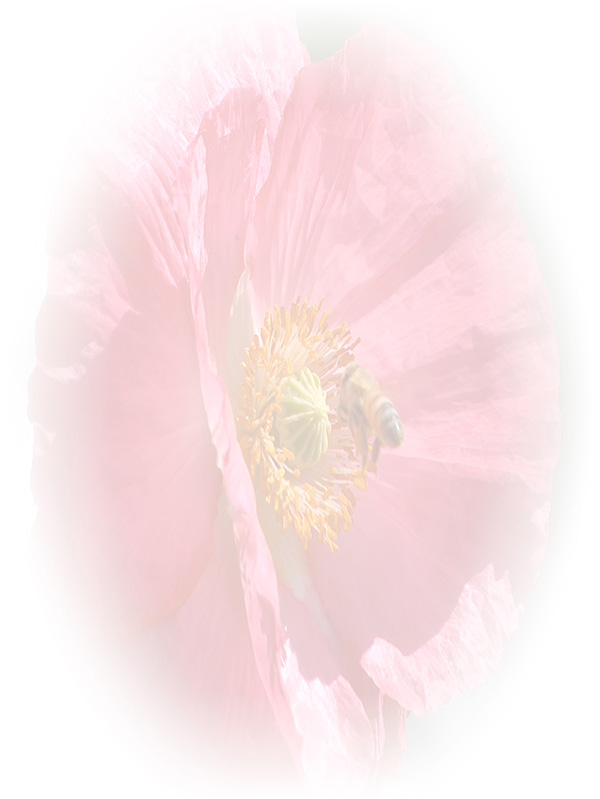 Law of Attraction Card - Image 3
