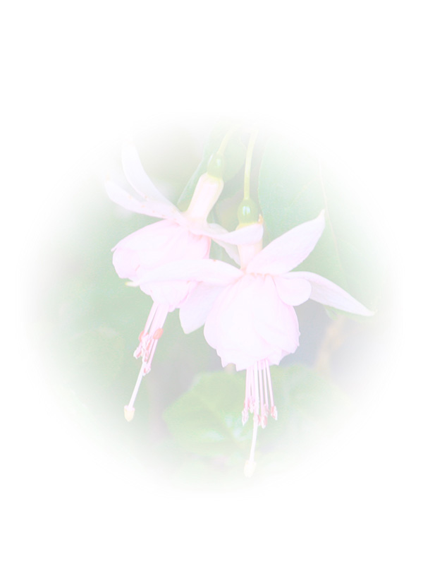 Law of Attraction Card - Image 3