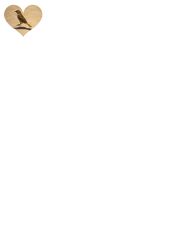 Law of Attraction Card - Image 3