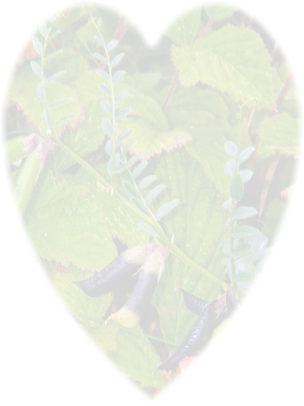 Law of Attraction Card - Image 3