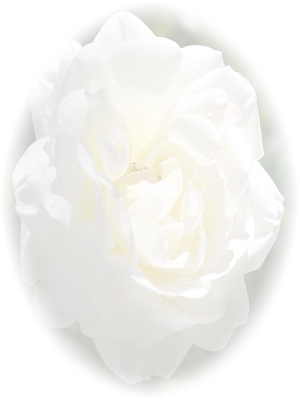 Law of Attraction Card - Image 3