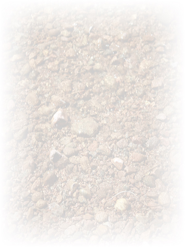 Law of Attraction Card - Image 3