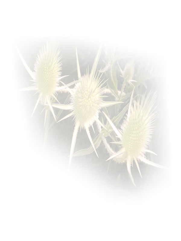 Law of Attraction Card - Image 3