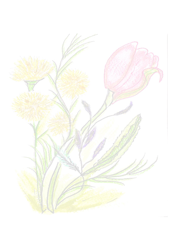 Law of Attraction Card - Image 3