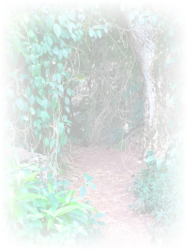 Law of Attraction Card - Image 3