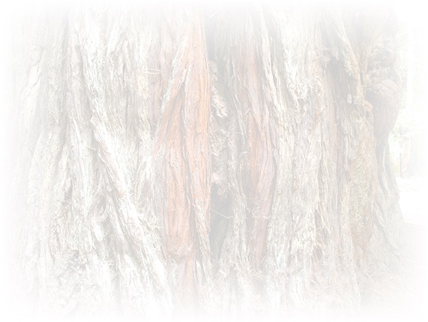 Law of Attraction Card - Image 3
