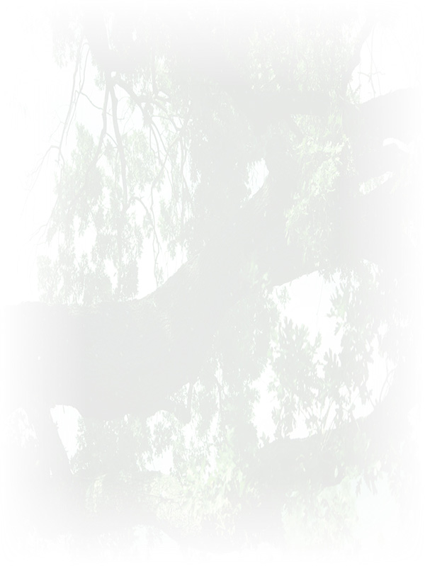 Law of Attraction Card - Image 3