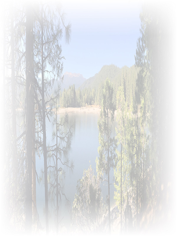 Law of Attraction Card - Image 3