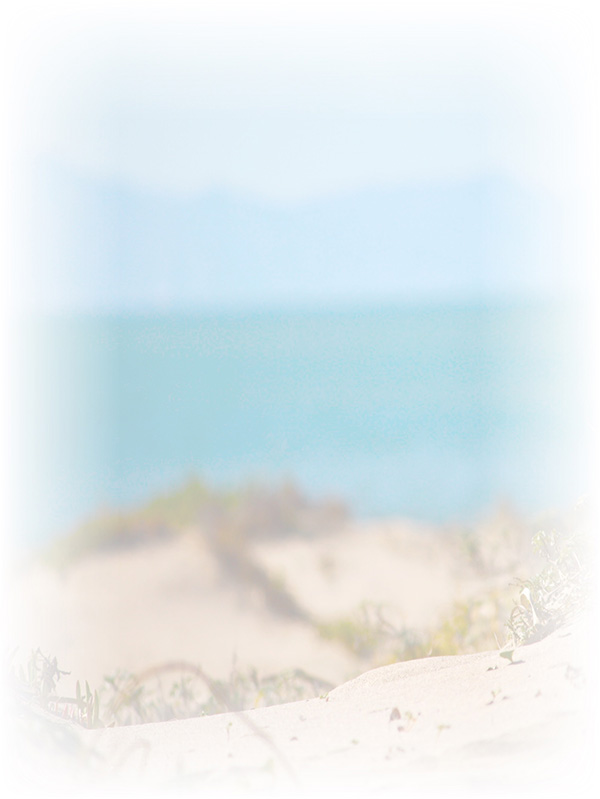 Law of Attraction Card - Image 3