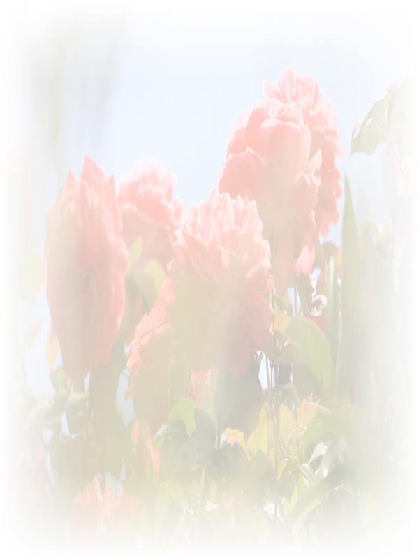Law of Attraction Card - Image 3