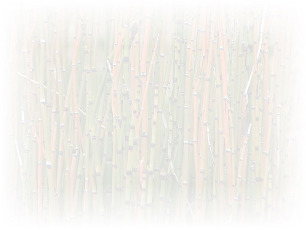 Law of Attraction Card - Image 3
