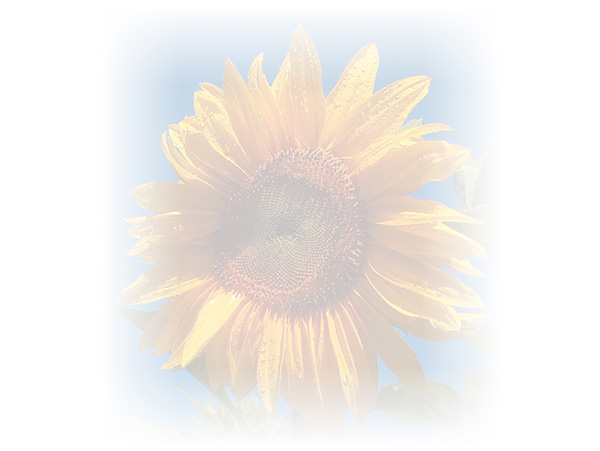 Law of Attraction Card - Image 3