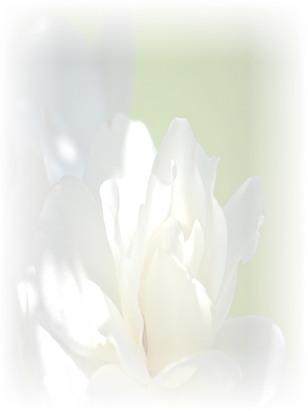 Law of Attraction Card - Image 3