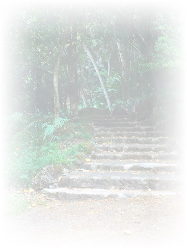 Law of Attraction Card - Image 3