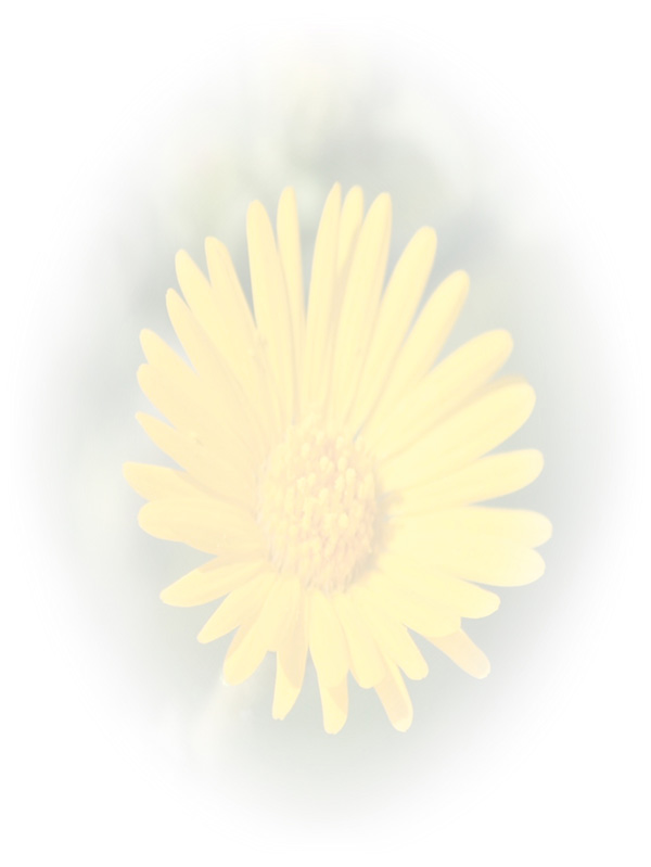 Law of Attraction Card - Image 3