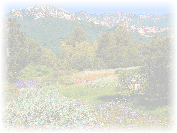Law of Attraction Card - Image 3