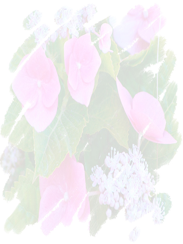 Law of Attraction Card - Image 3