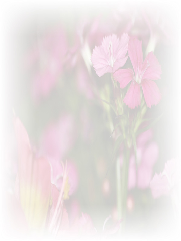Law of Attraction Card - Image 3