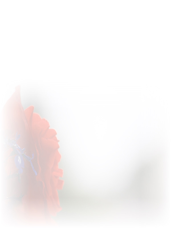 Law of Attraction Card - Image 3