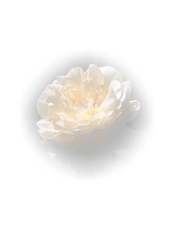 Law of Attraction Card - Image 3